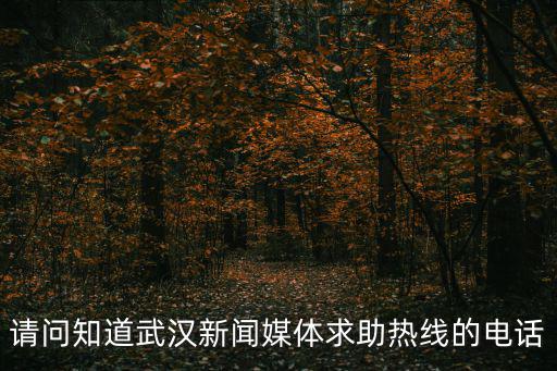 請問知道武漢新聞媒體求助熱線的電話