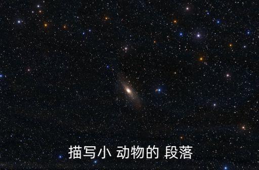  描寫小 動物的 段落