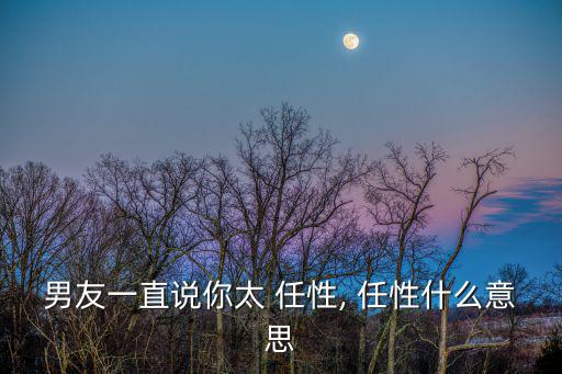 男友一直說你太 任性, 任性什么意思