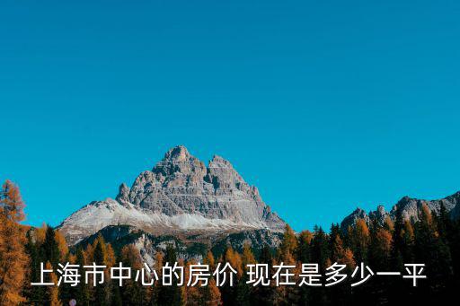 上海中心大廈一平米多少萬元，上海市中心的房?jī)r(jià)多少錢一個(gè)平米啊