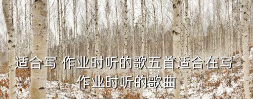 適合寫作業(yè)時聽的音樂