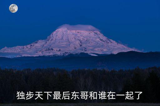 獨步天下最后東哥和誰在一起了