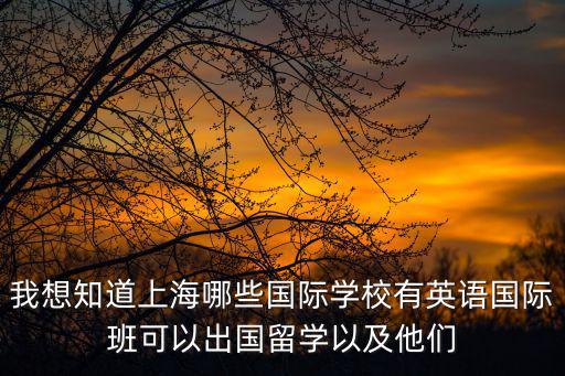 我想知道上海哪些國際學校有英語國際班可以出國留學以及他們
