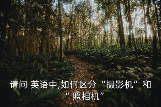 請問 英語中,如何區分“攝影機”和“ 照相機”