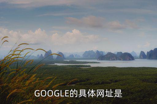 GOOGLE的具體網址是