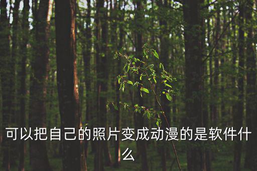 可以把自己的照片變成動漫的是軟件什么