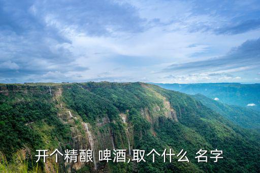 開個精釀 啤酒,取個什么 名字