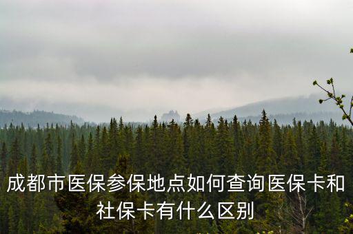 成都市醫保參保地點如何查詢醫保卡和社保卡有什么區別