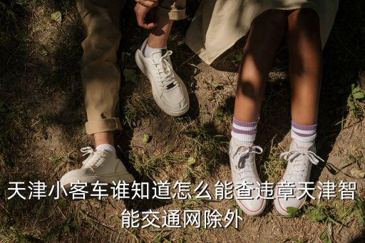天津小客車誰知道怎么能查違章天津智能交通網(wǎng)除外