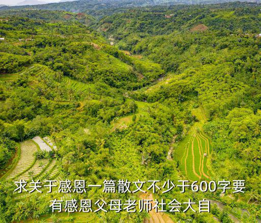 求關于感恩一篇散文不少于600字要有感恩父母老師社會大自