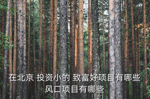 投資致富,北京小本創業致富項目:婚慶公司是致富平臺