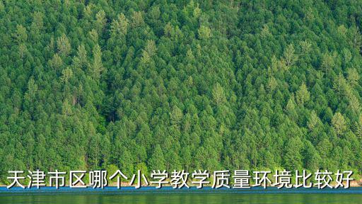 天津市區(qū)哪個小學(xué)教學(xué)質(zhì)量環(huán)境比較好