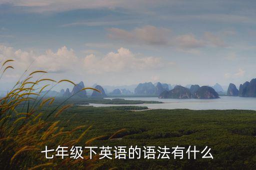 天津市七年級英語下冊語法，七年級下英語的語法有什么