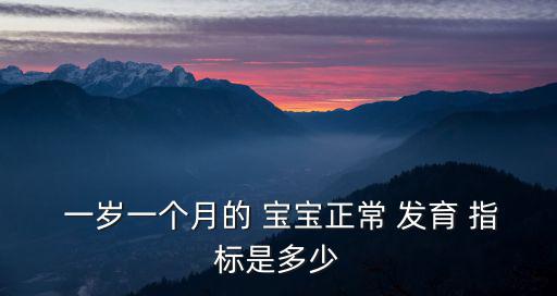  一歲一個月的 寶寶正常 發育 指標是多少