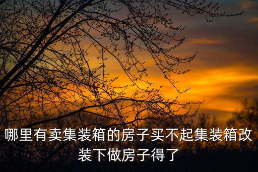 哪里有賣集裝箱的房子買不起集裝箱改裝下做房子得了