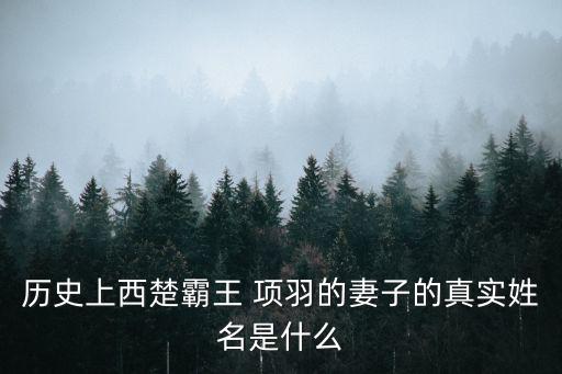歷史上西楚霸王 項羽的妻子的真實姓名是什么