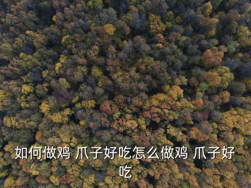 如何做雞 爪子好吃怎么做雞 爪子好吃