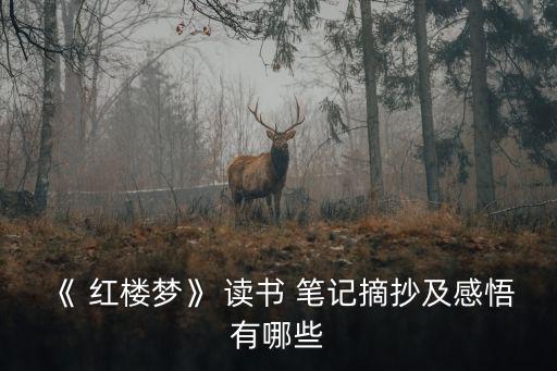 讀書筆記紅樓夢(mèng),紅樓夢(mèng)讀書筆記摘錄及感悟:一文讀懂