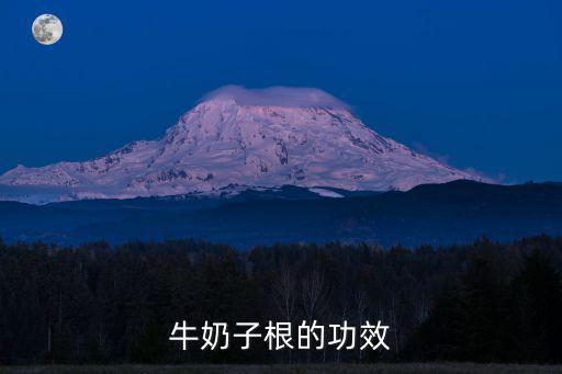 牛奶子根的功效
