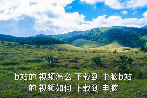 b站視頻怎么下載到電腦,電腦嗶哩嗶哩下載視頻步驟
