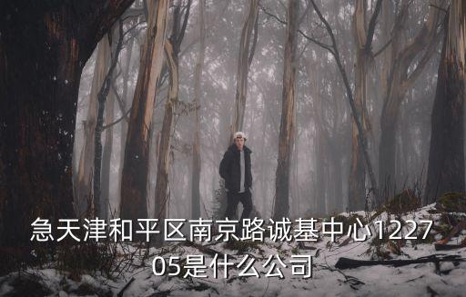 急天津和平區(qū)南京路誠基中心122705是什么公司