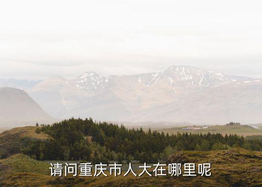 請問重慶市人大在哪里呢