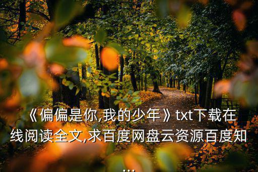 《偏偏是你,我的少年》txt下載在線閱讀全文,求百度網(wǎng)盤云資源百度知...
