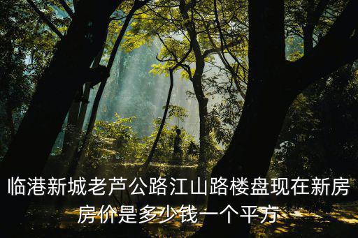 臨港新城老蘆公路江山路樓盤現在新房房價是多少錢一個平方