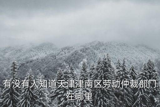 有沒有人知道天津津南區(qū)勞動仲裁部門在哪里