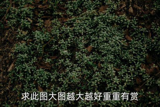 求此圖大圖越大越好重重有賞