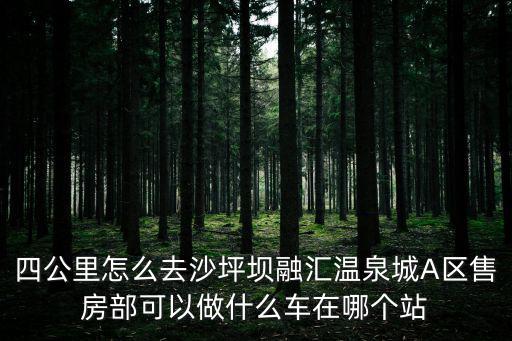 四公里怎么去沙坪壩融匯溫泉城A區售房部可以做什么車在哪個站