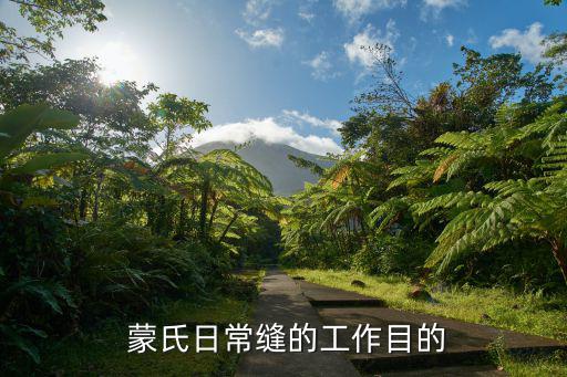蒙氏工作,蒙古梭利教育法鼓勵孩子自己動手縫制針和線