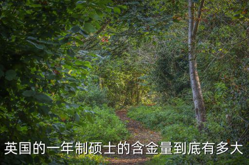 英國一年制音樂碩士，國家是否承認英國一年的研究生學歷