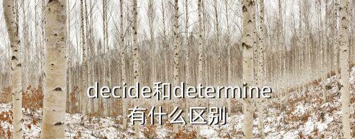  decide和determine有什么區別