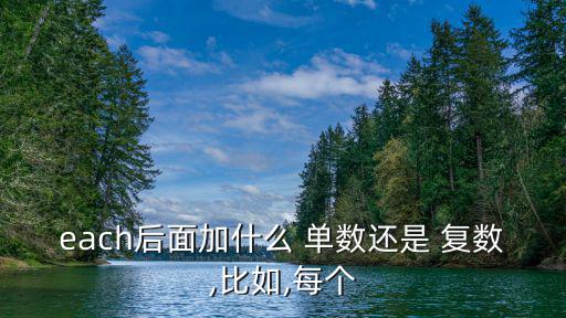 each后面加單數(shù)還是復(fù)數(shù),所有格代詞也用在復(fù)數(shù)中表達(dá)意思