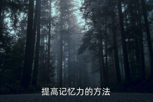 提高記憶力的方法