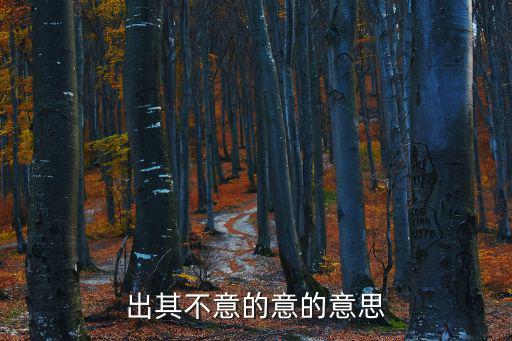 出其不意的意的意思