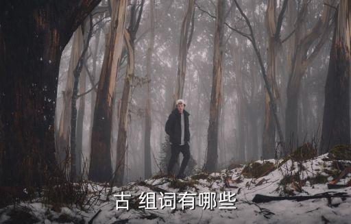 古 組詞有哪些