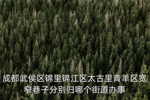 成都武侯區錦里錦江區太古里青羊區寬窄巷子分別歸哪個街道辦事