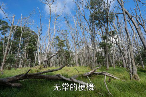無常,魯迅憶無常:鬼和人之間的道義