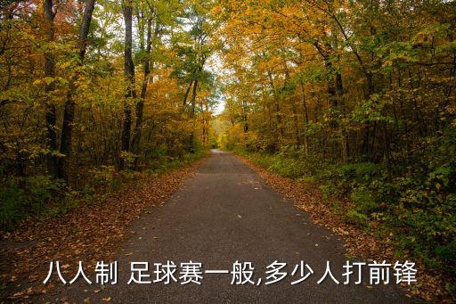 八人制足球,我國男子足球聯賽杯決賽:我隊奪銀