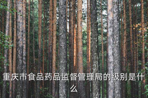 重慶市食品藥品監(jiān)督管理局的級(jí)別是什么