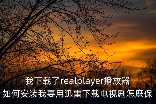 我下載了realplayer播放器如何安裝我要用迅雷下載電視劇怎麼保