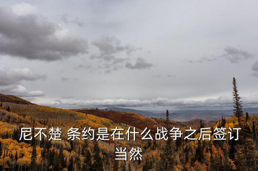 尼不楚條約,中國近代史上首次不平等條約簽署于辛丑年