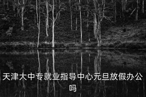天津大中專就業指導中心元旦放假辦公嗎