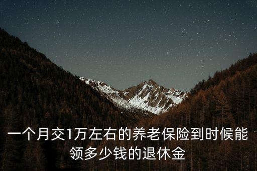 一個月交1萬左右的養老保險到時候能領多少錢的退休金