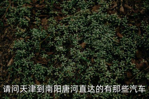 請問天津到南陽唐河直達的有那些汽車