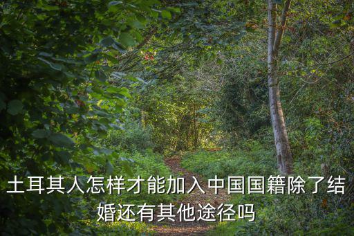 土耳其人怎樣才能加入中國國籍除了結婚還有其他途徑嗎
