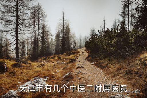 天津市有幾個(gè)中醫(yī)二附屬醫(yī)院