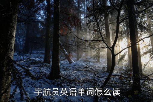 宇航員的英文,宇航員變形字典和簡體字搭配星期二特寫